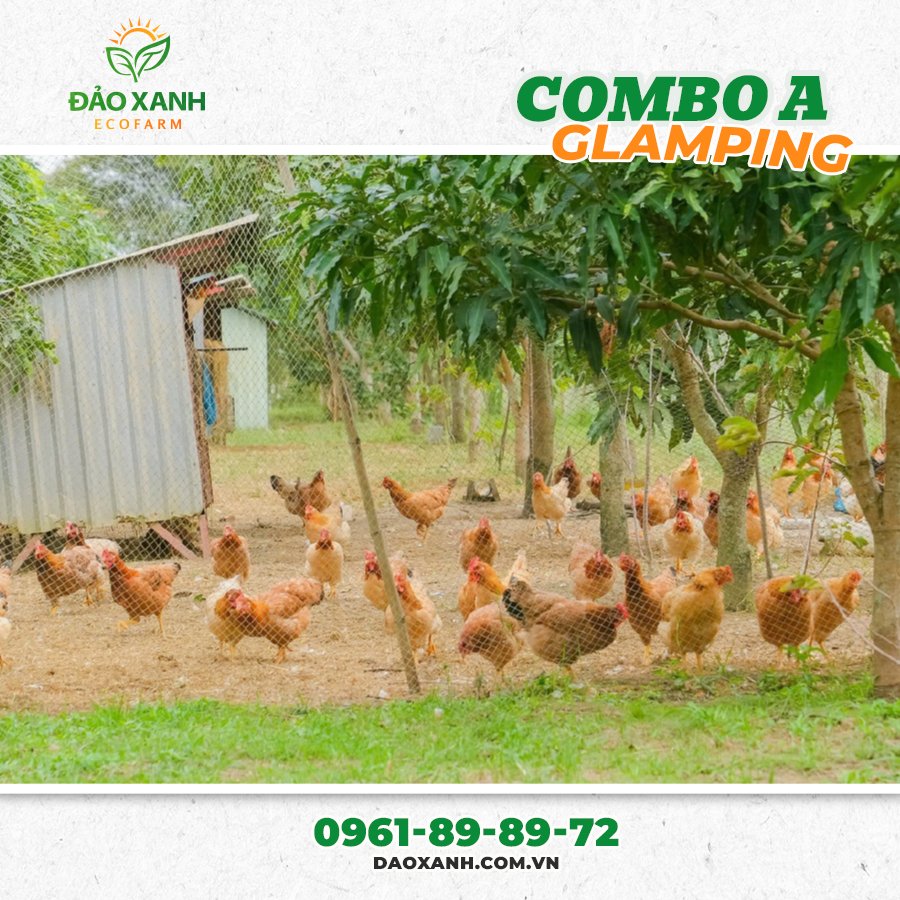 Du lịch sinh thái,Du lịch sinh thái Đắk Lắk,Du lịch sinh thái nông nghiệp,Du lịch sinh thái nông nghiệp Đắk Lắk,tour sinh thái Đắk Lắk,review Đắk Lắk,