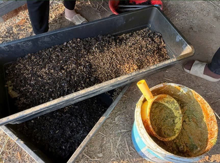 Du lịch sinh thái,Du lịch sinh thái Đắk Lắk,Du lịch sinh thái nông nghiệp,Du lịch sinh thái nông nghiệp Đắk Lắk,tour sinh thái Đắk Lắk,review Đắk Lắk,