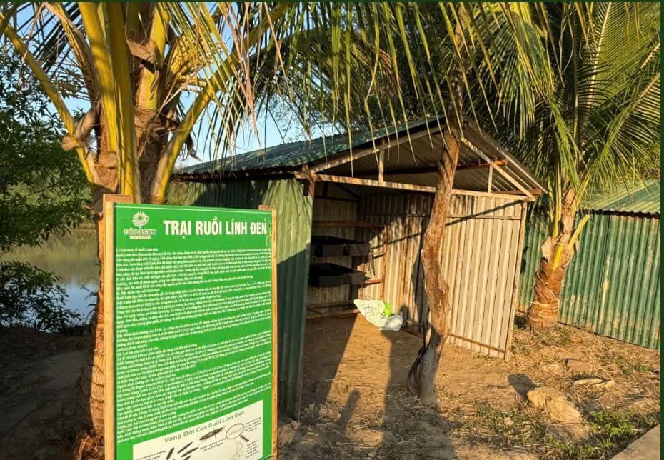 Du lịch sinh thái,Du lịch sinh thái Đắk Lắk,Du lịch sinh thái nông nghiệp,Du lịch sinh thái nông nghiệp Đắk Lắk,tour sinh thái Đắk Lắk,review Đắk Lắk,