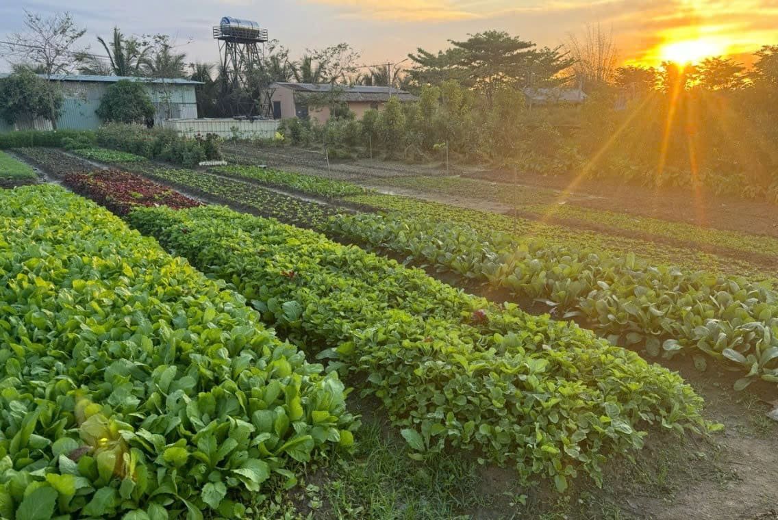 Du lịch sinh thái,Du lịch sinh thái Đắk Lắk,Du lịch sinh thái nông nghiệp,Du lịch sinh thái nông nghiệp Đắk Lắk,tour sinh thái Đắk Lắk,review Đắk Lắk,