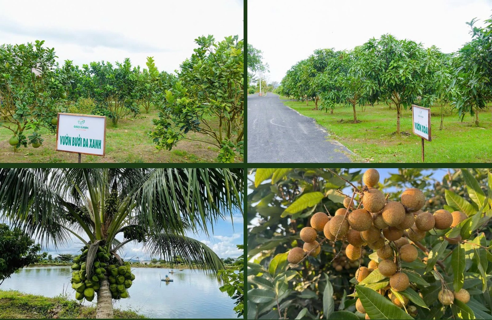 Du lịch sinh thái,Du lịch sinh thái Đắk Lắk,Du lịch sinh thái nông nghiệp,Du lịch sinh thái nông nghiệp Đắk Lắk,tour sinh thái Đắk Lắk,review Đắk Lắk,