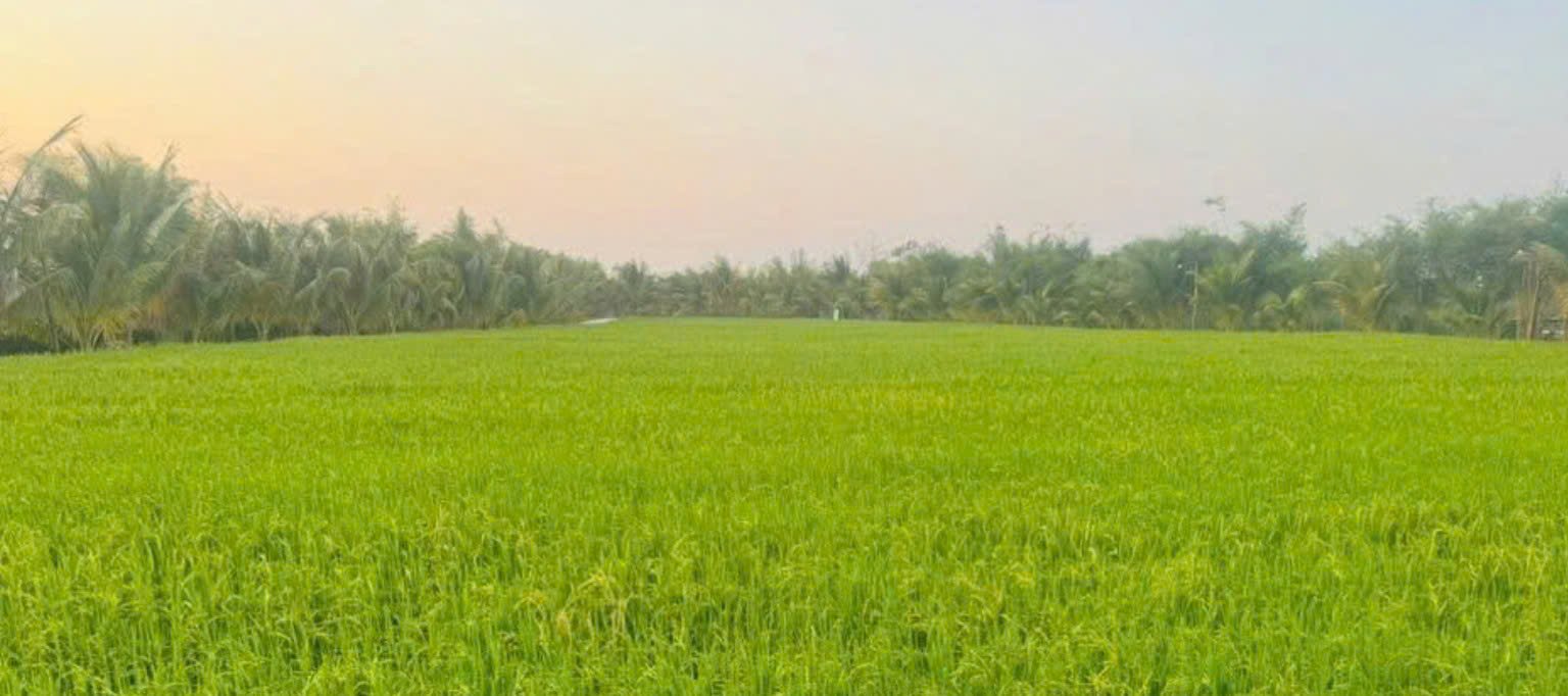 Du lịch sinh thái,Du lịch sinh thái Đắk Lắk,Du lịch sinh thái nông nghiệp,Du lịch sinh thái nông nghiệp Đắk Lắk,tour sinh thái Đắk Lắk,review Đắk Lắk,