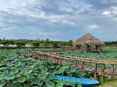 Du lịch sinh thái,Du lịch sinh thái Đắk Lắk,Du lịch sinh thái nông nghiệp,Du lịch sinh thái nông nghiệp Đắk Lắk,tour sinh thái Đắk Lắk