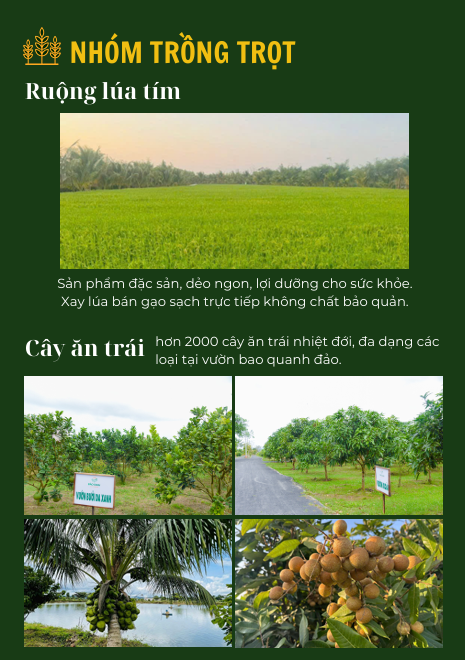 Du lịch sinh thái,Du lịch sinh thái Đắk Lắk,Du lịch sinh thái nông nghiệp,Du lịch sinh thái nông nghiệp Đắk Lắk,tour sinh thái Đắk Lắk