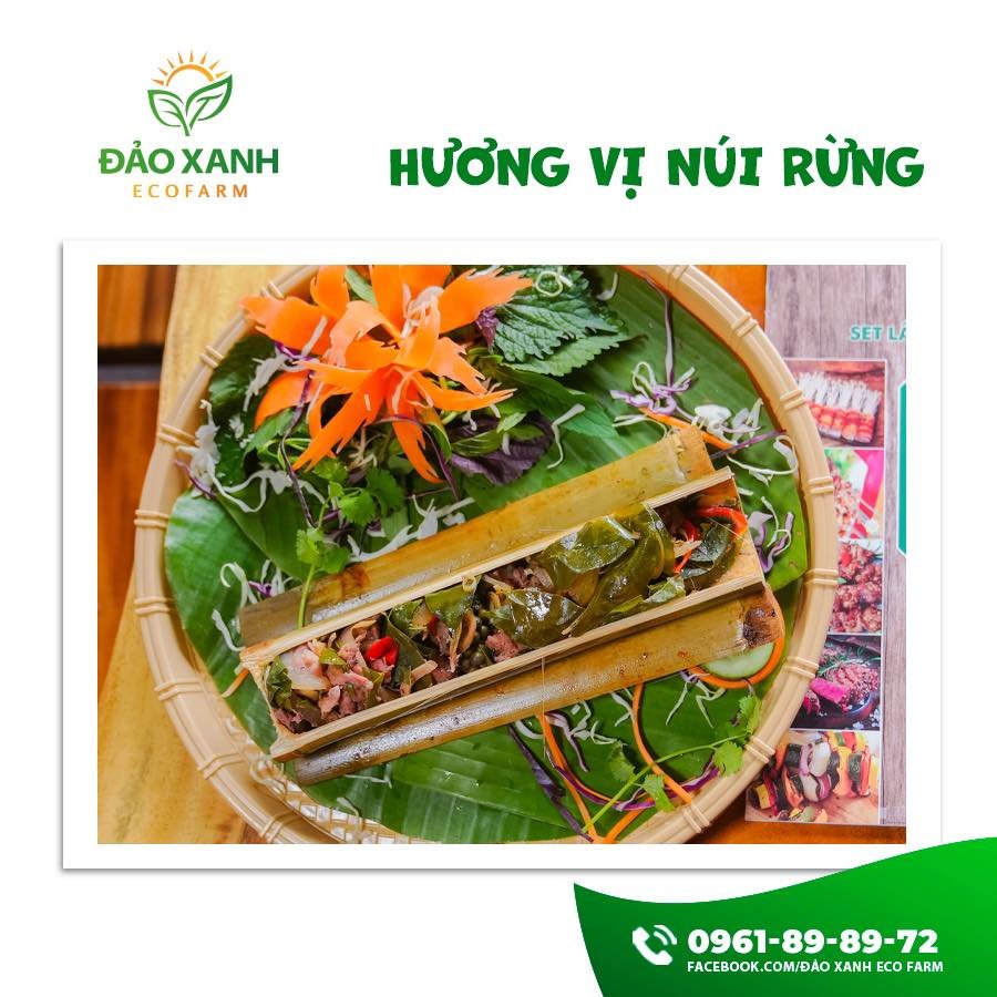 Du lịch sinh thái,Du lịch sinh thái Đắk Lắk,Du lịch sinh thái nông nghiệp,Du lịch sinh thái nông nghiệp Đắk Lắk,tour sinh thái Đắk Lắk