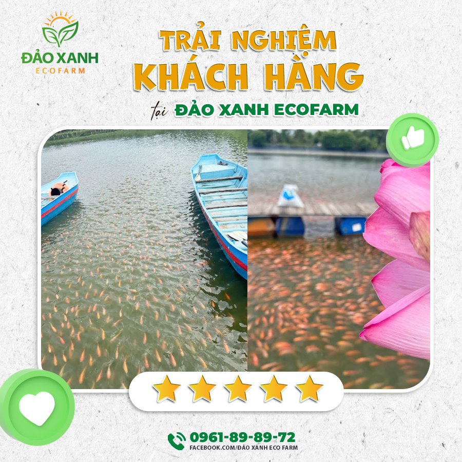 Du lịch sinh thái,Du lịch sinh thái Đắk Lắk,Du lịch sinh thái nông nghiệp,Du lịch sinh thái nông nghiệp Đắk Lắk,tour sinh thái Đắk Lắk