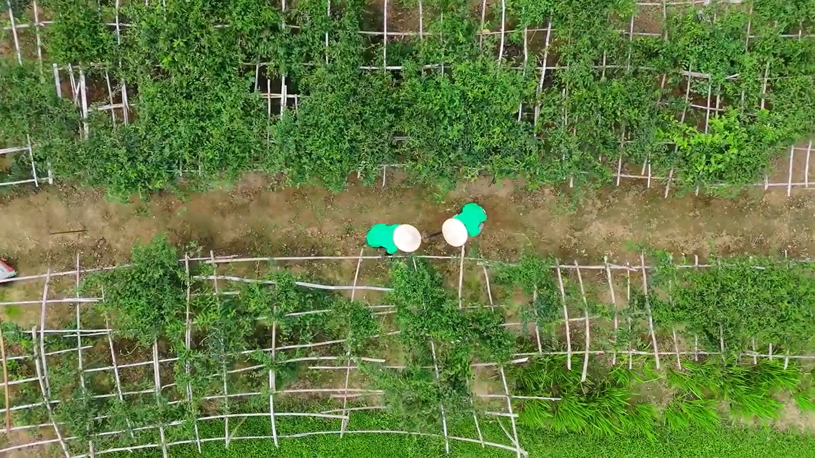 Du lịch sinh thái,Du lịch sinh thái Đắk Lắk,Du lịch sinh thái nông nghiệp,Du lịch sinh thái nông nghiệp Đắk Lắk,tour sinh thái Đắk Lắk