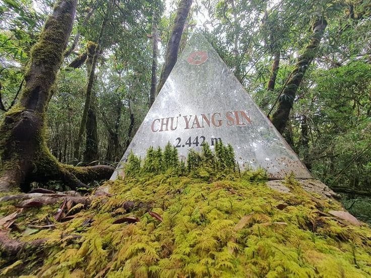 Địa điểm du lịch đắk lắk,Du lịch sinh thái,Du lịch sinh thái Đắk Lắk,Du lịch sinh thái nông nghiệp,Du lịch sinh thái nông nghiệp Đắk Lắk,tour sinh thái Đắk Lắk, du lịch đắk lắk, địa điểm du lịch