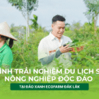 Du lịch sinh thái,Du lịch sinh thái Đắk Lắk,Du lịch sinh thái nông nghiệp,Du lịch sinh thái nông nghiệp Đắk Lắk,tour sinh thái Đắk Lắk,review Đắk Lắk,