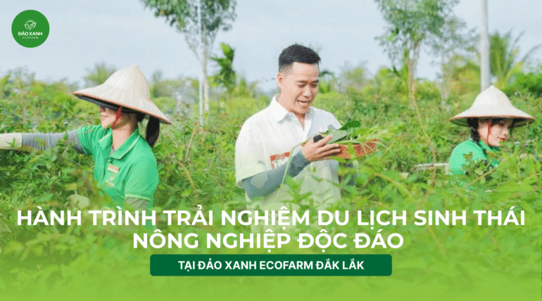 Du lịch sinh thái,Du lịch sinh thái Đắk Lắk,Du lịch sinh thái nông nghiệp,Du lịch sinh thái nông nghiệp Đắk Lắk,tour sinh thái Đắk Lắk,review Đắk Lắk,Du lịch Đắk Lắk,