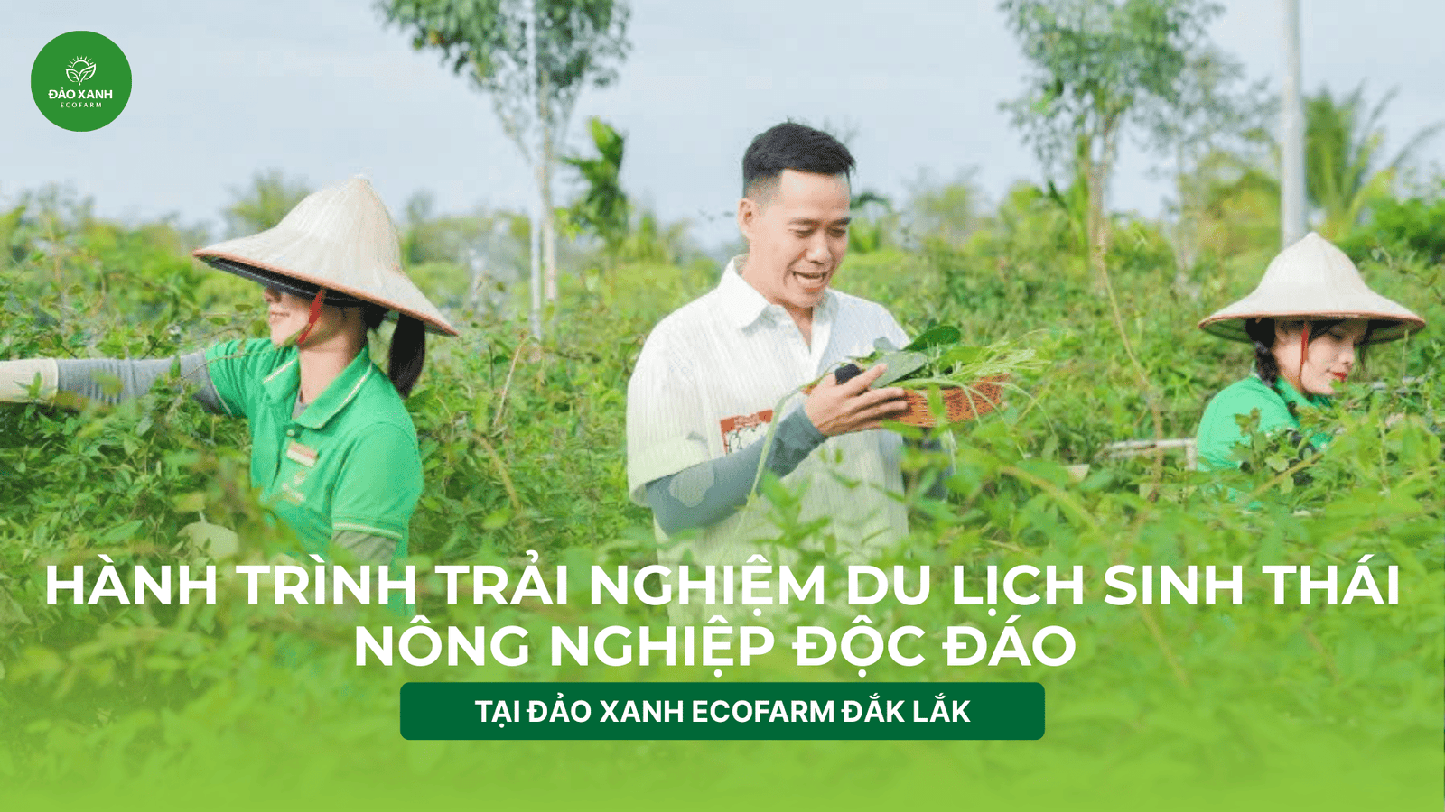 Du lịch sinh thái,Du lịch sinh thái Đắk Lắk,Du lịch sinh thái nông nghiệp,Du lịch sinh thái nông nghiệp Đắk Lắk,tour sinh thái Đắk Lắk,review Đắk Lắk,Du lịch Đắk Lắk,
