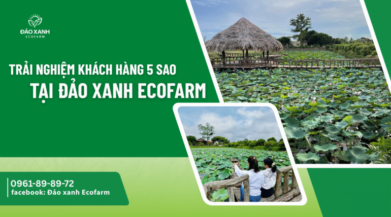 Địa điểm du lịch đắk lắk,Du lịch sinh thái,Du lịch sinh thái Đắk Lắk,Du lịch sinh thái nông nghiệp,Du lịch sinh thái nông nghiệp Đắk Lắk,tour sinh thái Đắk Lắk, du lịch đắk lắk, địa điểm du lịch