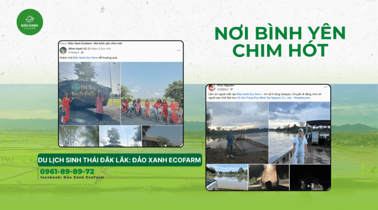 Du lịch sinh thái,Du lịch sinh thái Đắk Lắk,Du lịch sinh thái nông nghiệp,Du lịch sinh thái nông nghiệp Đắk Lắk,tour sinh thái Đắk Lắk,review Đắk Lắk,