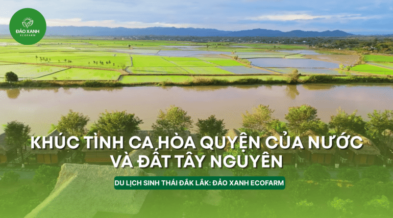 Du lịch sinh thái,Du lịch sinh thái Đắk Lắk,Du lịch sinh thái nông nghiệp,Du lịch sinh thái nông nghiệp Đắk Lắk,tour sinh thái Đắk Lắk