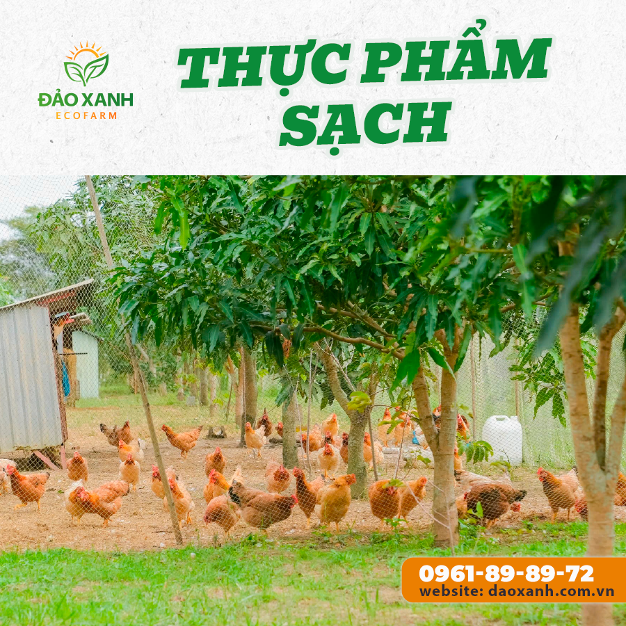 Du lịch sinh thái,Du lịch sinh thái Đắk Lắk,Du lịch sinh thái nông nghiệp,Du lịch sinh thái nông nghiệp Đắk Lắk,tour sinh thái Đắk Lắk,review Đắk Lắk,