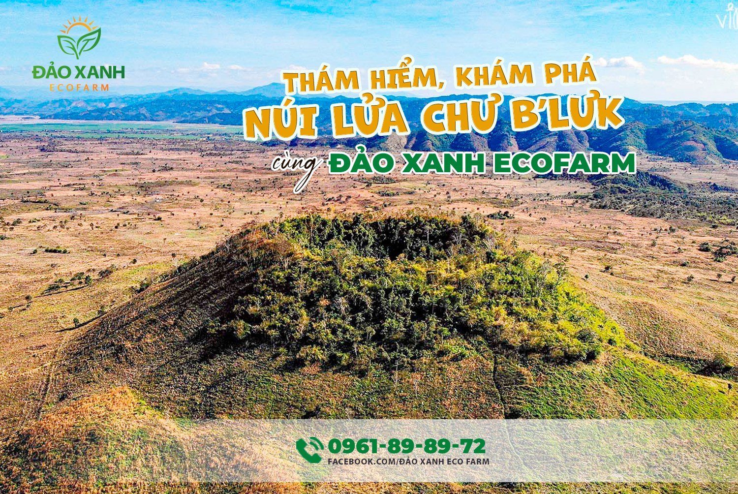 Địa điểm du lịch đắk lắk,Du lịch sinh thái,Du lịch sinh thái Đắk Lắk,Du lịch sinh thái nông nghiệp,Du lịch sinh thái nông nghiệp Đắk Lắk,tour sinh thái Đắk Lắk, du lịch đắk lắk, địa điểm du lịch, địa điểm lý tưởng, địa điểm du lịch lý tưởng, địa điểm du lịch sinh thái lý tưởng, Địa điểm lưu trú, địa điểm lưu trú lý tưởng,tour du lịch sinh thái, tour du lịch sinh thái đắk lắk,