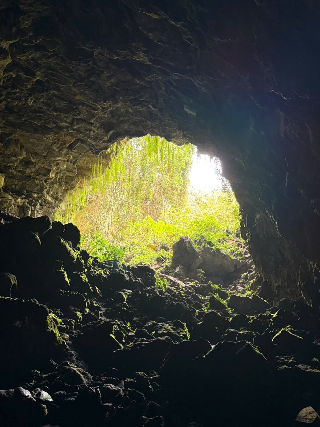 Địa điểm du lịch đắk lắk,Du lịch sinh thái,Du lịch sinh thái Đắk Lắk,Du lịch sinh thái nông nghiệp,Du lịch sinh thái nông nghiệp Đắk Lắk,tour sinh thái Đắk Lắk, du lịch đắk lắk, địa điểm du lịch, địa điểm lý tưởng, địa điểm du lịch lý tưởng, địa điểm du lịch sinh thái lý tưởng, Địa điểm lưu trú, địa điểm lưu trú lý tưởng,tour du lịch sinh thái, tour du lịch sinh thái đắk lắk,