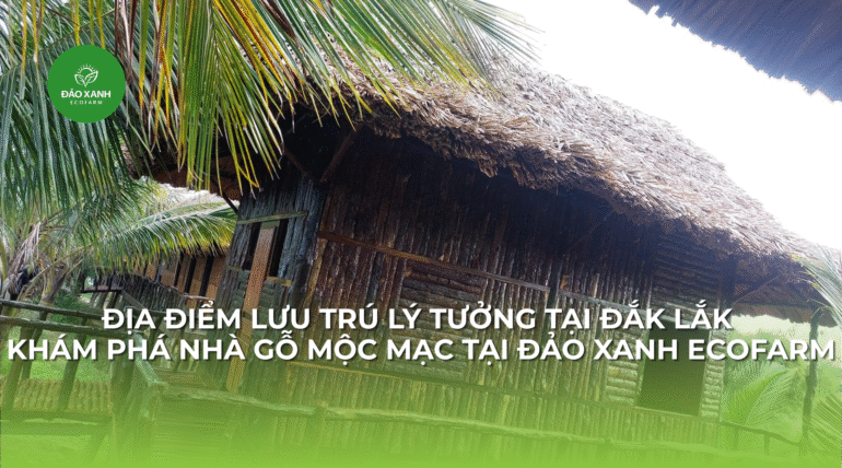 Địa điểm du lịch đắk lắk,Du lịch sinh thái,Du lịch sinh thái Đắk Lắk,Du lịch sinh thái nông nghiệp,Du lịch sinh thái nông nghiệp Đắk Lắk,tour sinh thái Đắk Lắk, du lịch đắk lắk, địa điểm du lịch, địa điểm lý tưởng, địa điểm du lịch lý tưởng, địa điểm du lịch sinh thái lý tưởng, Địa điểm lưu trú, địa điểm lưu trú lý tưởng,tour du lịch sinh thái, tour du lịch sinh thái đắk lắk,