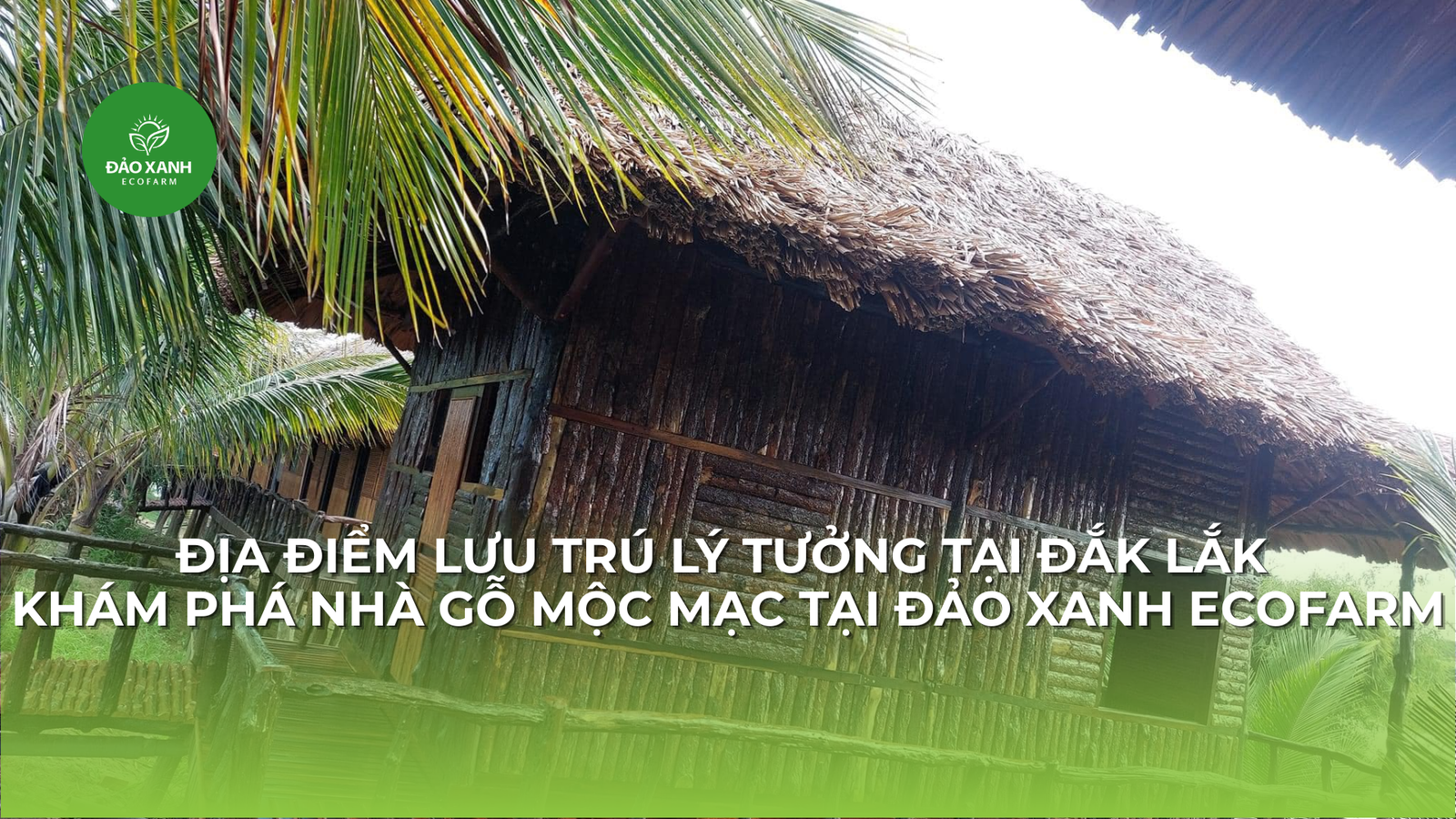 Địa điểm du lịch đắk lắk,Du lịch sinh thái,Du lịch sinh thái Đắk Lắk,Du lịch sinh thái nông nghiệp,Du lịch sinh thái nông nghiệp Đắk Lắk,tour sinh thái Đắk Lắk, du lịch đắk lắk, địa điểm du lịch, địa điểm lý tưởng, địa điểm du lịch lý tưởng, địa điểm du lịch sinh thái lý tưởng, Địa điểm lưu trú, địa điểm lưu trú lý tưởng,tour du lịch sinh thái, tour du lịch sinh thái đắk lắk,