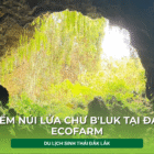 Địa điểm du lịch đắk lắk,Du lịch sinh thái,Du lịch sinh thái Đắk Lắk,Du lịch sinh thái nông nghiệp,Du lịch sinh thái nông nghiệp Đắk Lắk,tour sinh thái Đắk Lắk, du lịch đắk lắk, địa điểm du lịch, địa điểm lý tưởng, địa điểm du lịch lý tưởng, địa điểm du lịch sinh thái lý tưởng, Địa điểm lưu trú, địa điểm lưu trú lý tưởng,tour du lịch sinh thái, tour du lịch sinh thái đắk lắk,