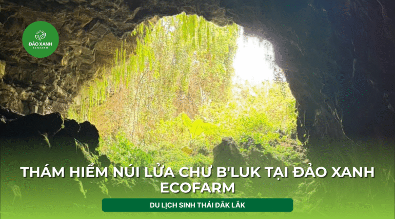 Địa điểm du lịch đắk lắk,Du lịch sinh thái,Du lịch sinh thái Đắk Lắk,Du lịch sinh thái nông nghiệp,Du lịch sinh thái nông nghiệp Đắk Lắk,tour sinh thái Đắk Lắk, du lịch đắk lắk, địa điểm du lịch, địa điểm lý tưởng, địa điểm du lịch lý tưởng, địa điểm du lịch sinh thái lý tưởng, Địa điểm lưu trú, địa điểm lưu trú lý tưởng,tour du lịch sinh thái, tour du lịch sinh thái đắk lắk,