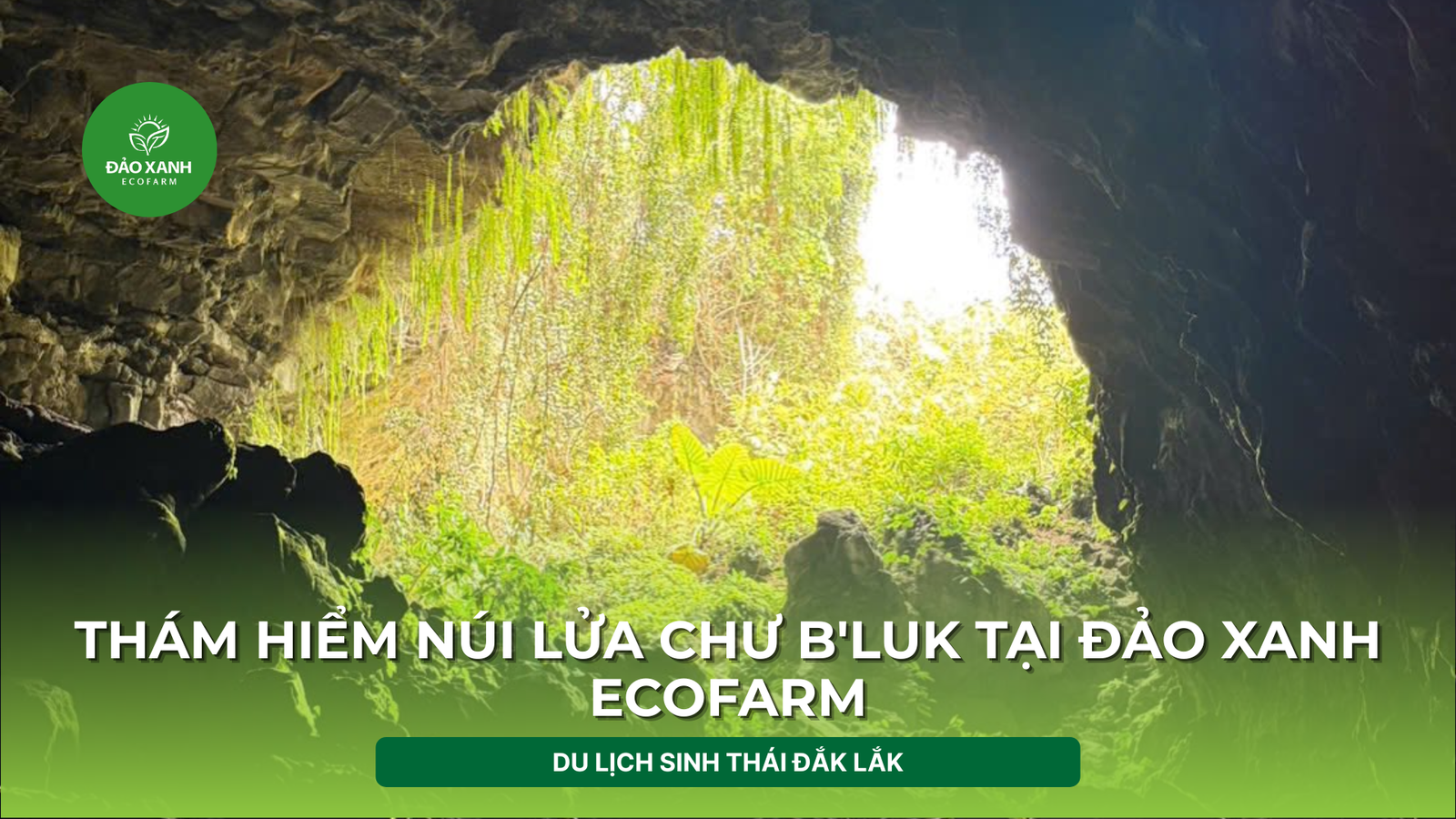 Địa điểm du lịch đắk lắk,Du lịch sinh thái,Du lịch sinh thái Đắk Lắk,Du lịch sinh thái nông nghiệp,Du lịch sinh thái nông nghiệp Đắk Lắk,tour sinh thái Đắk Lắk, du lịch đắk lắk, địa điểm du lịch, địa điểm lý tưởng, địa điểm du lịch lý tưởng, địa điểm du lịch sinh thái lý tưởng, Địa điểm lưu trú, địa điểm lưu trú lý tưởng,tour du lịch sinh thái, tour du lịch sinh thái đắk lắk,