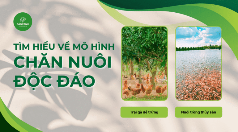 Du lịch sinh thái,Du lịch sinh thái Đắk Lắk,Du lịch sinh thái nông nghiệp,Du lịch sinh thái nông nghiệp Đắk Lắk,tour sinh thái Đắk Lắk, Du lịch Buôn Ma Thuột,