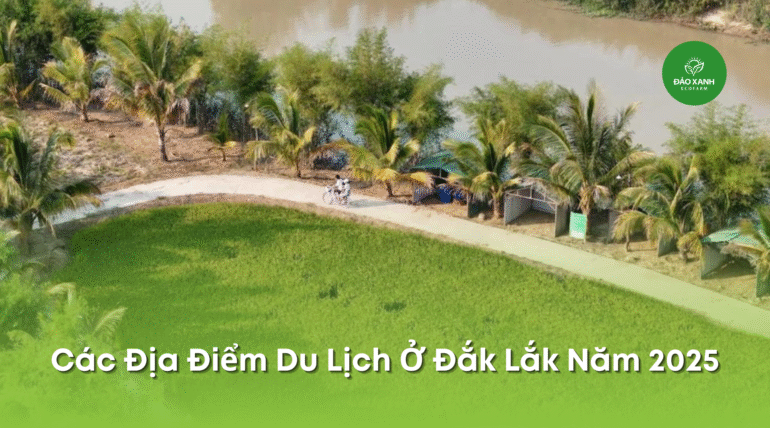 Địa điểm du lịch đắk lắk,Du lịch sinh thái,Du lịch sinh thái Đắk Lắk,Du lịch sinh thái nông nghiệp,Du lịch sinh thái nông nghiệp Đắk Lắk,tour sinh thái Đắk Lắk, du lịch đắk lắk, địa điểm du lịch