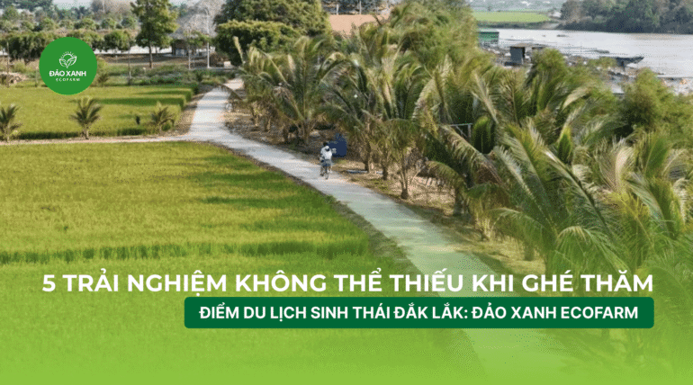 Địa điểm du lịch đắk lắk,Du lịch sinh thái,Du lịch sinh thái Đắk Lắk,Du lịch sinh thái nông nghiệp,Du lịch sinh thái nông nghiệp Đắk Lắk,tour sinh thái Đắk Lắk, du lịch đắk lắk, địa điểm du lịch