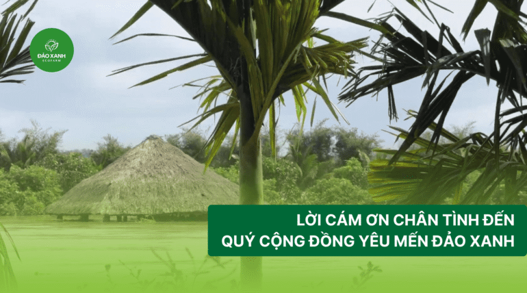 Địa điểm du lịch đắk lắk,Du lịch sinh thái,Du lịch sinh thái Đắk Lắk,Du lịch sinh thái nông nghiệp,Du lịch sinh thái nông nghiệp Đắk Lắk,tour sinh thái Đắk Lắk, du lịch đắk lắk, địa điểm du lịch