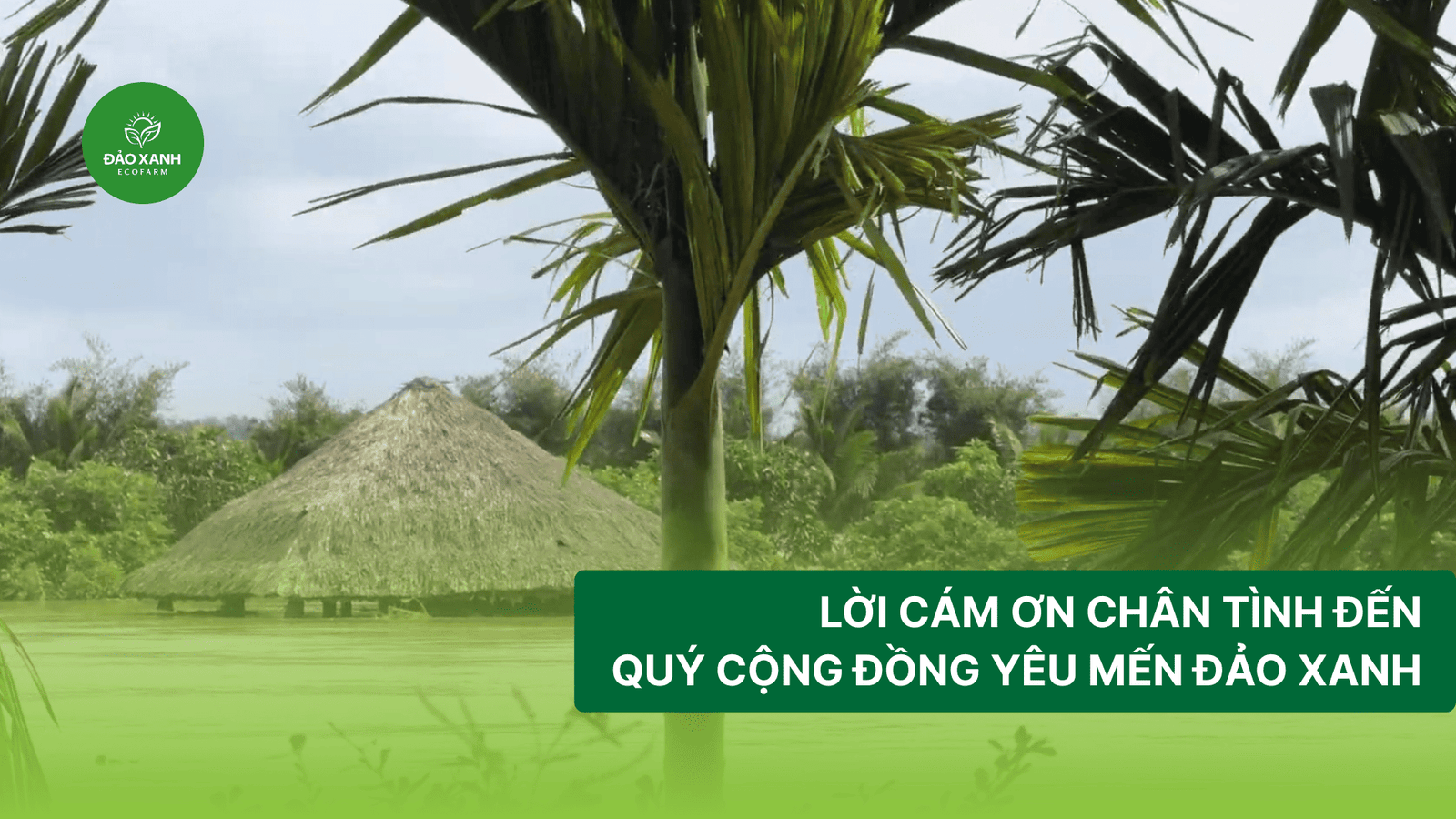 Địa điểm du lịch đắk lắk,Du lịch sinh thái,Du lịch sinh thái Đắk Lắk,Du lịch sinh thái nông nghiệp,Du lịch sinh thái nông nghiệp Đắk Lắk,tour sinh thái Đắk Lắk, du lịch đắk lắk, địa điểm du lịch