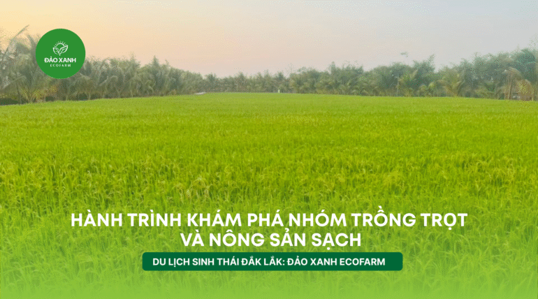 Địa điểm du lịch đắk lắk,Du lịch sinh thái,Du lịch sinh thái Đắk Lắk,Du lịch sinh thái nông nghiệp,Du lịch sinh thái nông nghiệp Đắk Lắk,tour sinh thái Đắk Lắk, du lịch đắk lắk, địa điểm du lịch