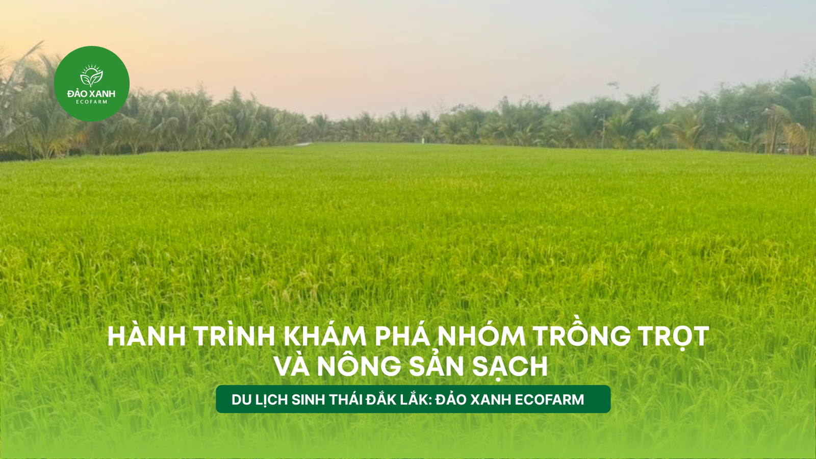 Địa điểm du lịch đắk lắk,Du lịch sinh thái,Du lịch sinh thái Đắk Lắk,Du lịch sinh thái nông nghiệp,Du lịch sinh thái nông nghiệp Đắk Lắk,tour sinh thái Đắk Lắk, du lịch đắk lắk, địa điểm du lịch