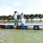 Địa điểm du lịch đắk lắk,Du lịch sinh thái,Du lịch sinh thái Đắk Lắk,Du lịch sinh thái nông nghiệp,Du lịch sinh thái nông nghiệp Đắk Lắk,tour sinh thái Đắk Lắk, du lịch đắk lắk, địa điểm du lịch