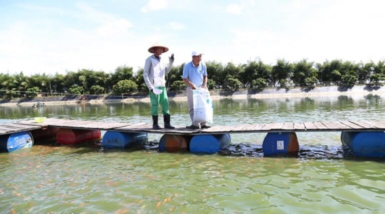 Địa điểm du lịch đắk lắk,Du lịch sinh thái,Du lịch sinh thái Đắk Lắk,Du lịch sinh thái nông nghiệp,Du lịch sinh thái nông nghiệp Đắk Lắk,tour sinh thái Đắk Lắk, du lịch đắk lắk, địa điểm du lịch