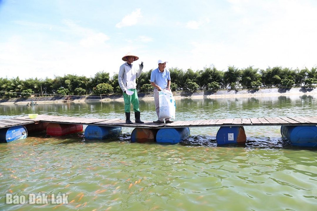 Địa điểm du lịch đắk lắk,Du lịch sinh thái,Du lịch sinh thái Đắk Lắk,Du lịch sinh thái nông nghiệp,Du lịch sinh thái nông nghiệp Đắk Lắk,tour sinh thái Đắk Lắk, du lịch đắk lắk, địa điểm du lịch