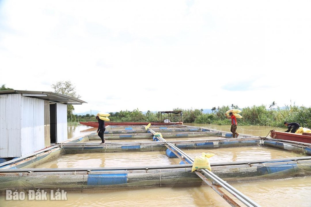 Địa điểm du lịch đắk lắk,Du lịch sinh thái,Du lịch sinh thái Đắk Lắk,Du lịch sinh thái nông nghiệp,Du lịch sinh thái nông nghiệp Đắk Lắk,tour sinh thái Đắk Lắk, du lịch đắk lắk, địa điểm du lịch